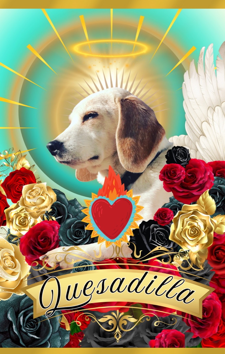 Quesadilla, a custom pet candle